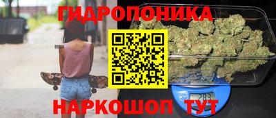 дурь Кингисепп