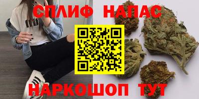 тгк Кимры