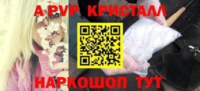 дурь Кингисепп