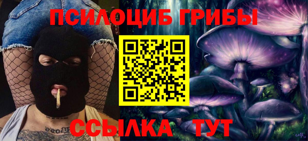 Галлюциногенные грибы мицелий  Вход с VPN  Краснокаменск 