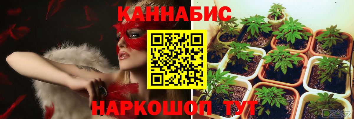 Конопля Ganja Краснокаменск